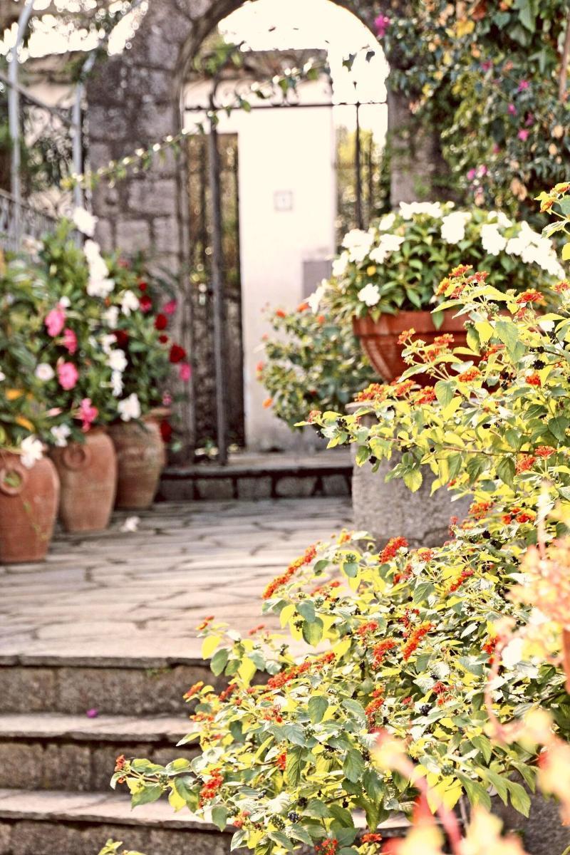 Cavalluccio Marino Anacapri  Exterior foto